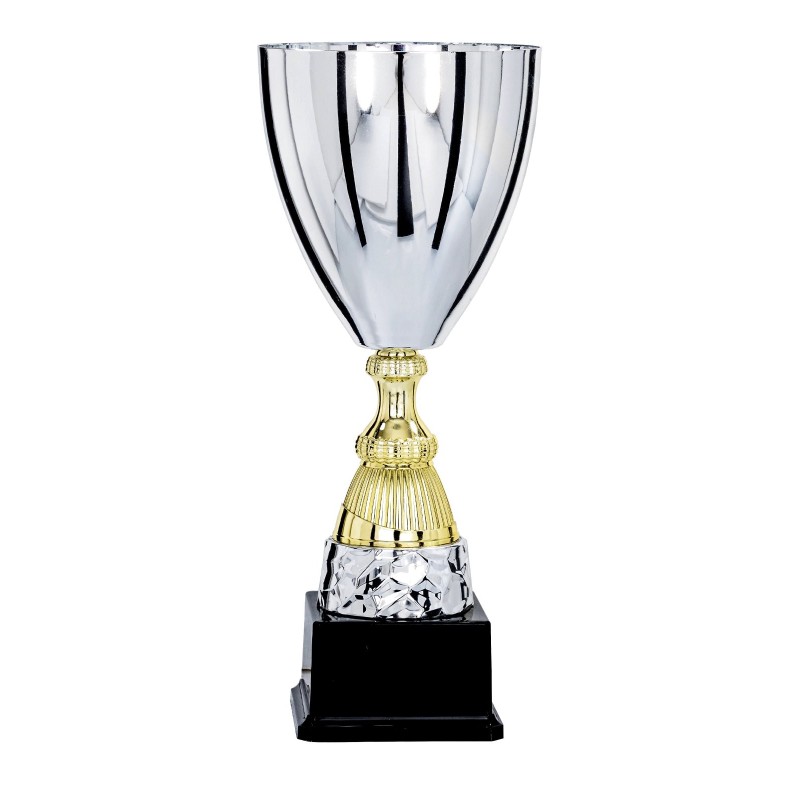 Coupe Métal "Classique" de 31 cm -Clubs de sport !