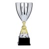 Coupe Métal "Classique" de 31 cm -Clubs de sport !