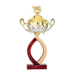 Coupe Métal Personnalisée - 42 cm - Grand choix de sports
