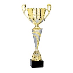 Coupe Métal "Classique" de 33 cm -Clubs de sport !