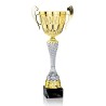 Coupe Métal "Classique" de 32 cm -Clubs de sport !