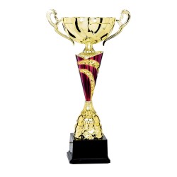 Coupe Métal "Classique" de 31 cm -Clubs de sport !