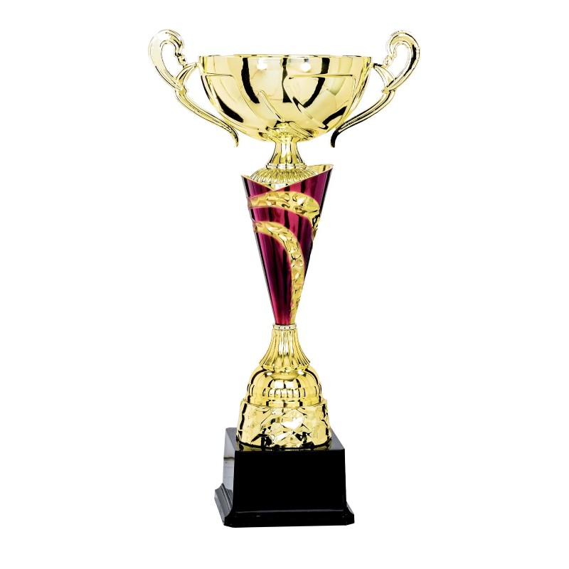 Coupe Métal "Classique" de 31 cm -Clubs de sport !