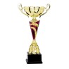 Coupe Métal "Classique" de 31 cm -Clubs de sport !