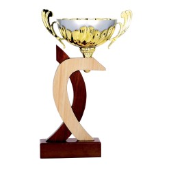 Coupe Métal "Classique" de 32 cm -Clubs de sport !