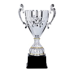 Coupe Métal "Classique" de 27 cm -Clubs de sport !