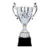 Coupe Métal "Classique" de 27 cm -Clubs de sport !