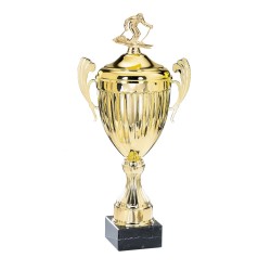 Coupe Métal Personnalisée - 36 cm - Grand choix de sports