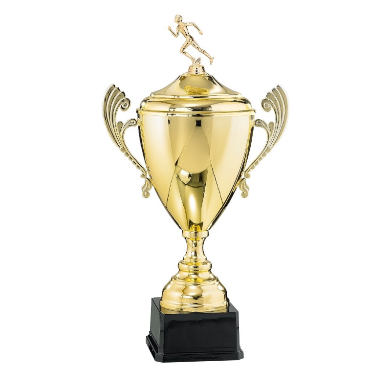 Coupe "Prestige" 100% Métal (40 cm - Qualité professionnelle