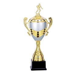 Coupe Personnalisée de 45 cm - Grand choix de sports