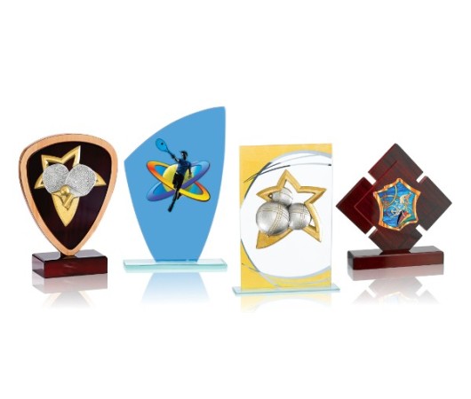 TROPHÉES PERSONNALISÉS APPLIQUES