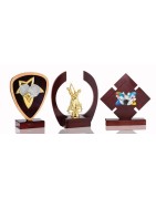 Trophées originaux en bois | AFB Récompenses