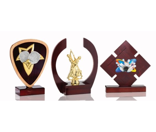 Trophées originaux en bois | AFB Récompenses