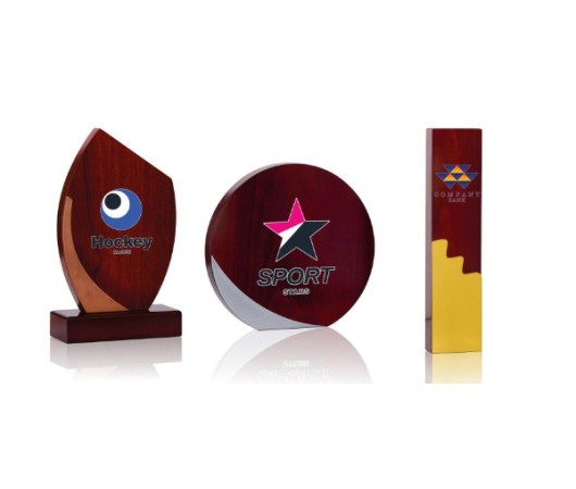 TROPHÉES BOIS PERSONNALISÉS COULEUR