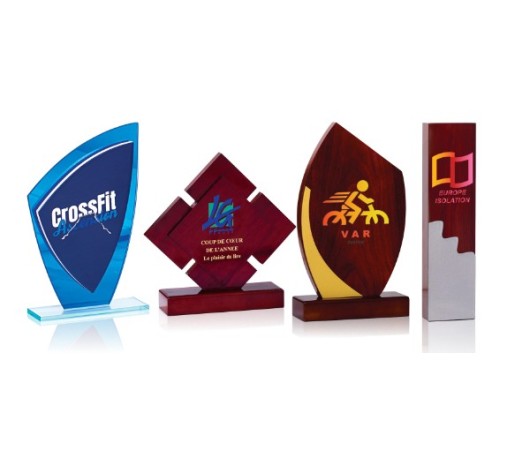 Trophées personnalisés logo blason couleur | AFB