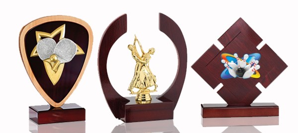 TROPHÉES BOIS